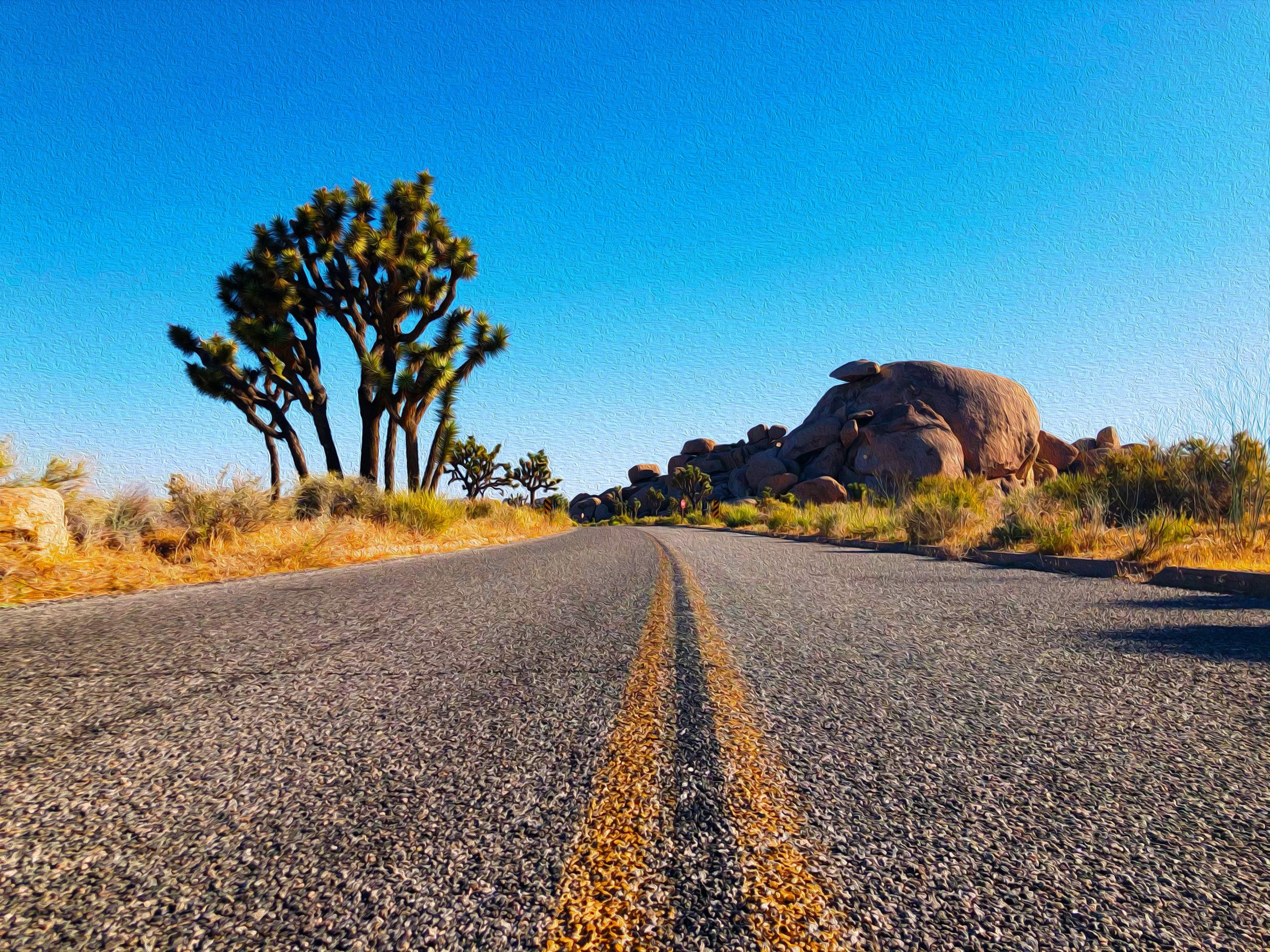The Virtual Joshua Tree National Park Tour Visit From Home